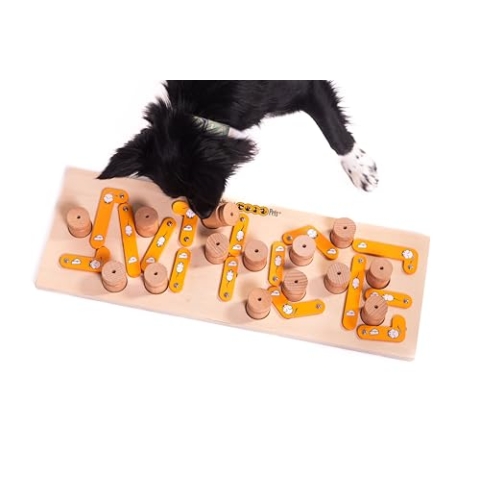 My Intelligent Dogs MICE Interaktives Katzenspielzeug aus Holz Intelligentes Spielzeug für Katzen