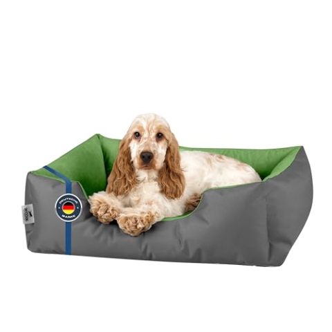 BedDog Hundebett S - Hundekissen - Hundekorb - Hundecouch - Hundesofa - Bezug abziehbar, Waschbar, für Kleine Hunde
