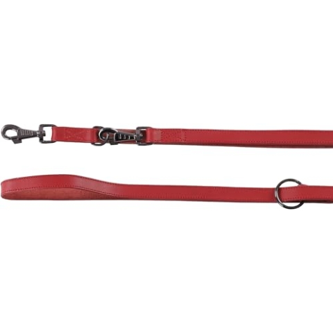 TRAININGSLEINE Denver ROT 200CM 22MM