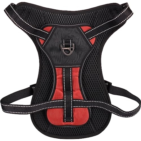 Geschirr Kelso ROT XL 54-84CM 25MM
