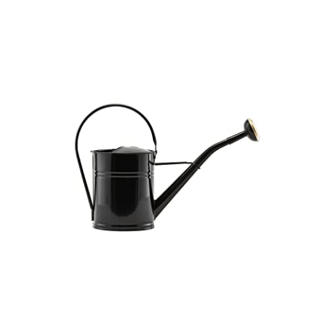 House Doctor 203230200 Gießkanne, Water, Schwarz, l: 36 cm, b: 13.5 cm, h: 25 cm, 2 l, Borosilikatglas, PP, Silikon