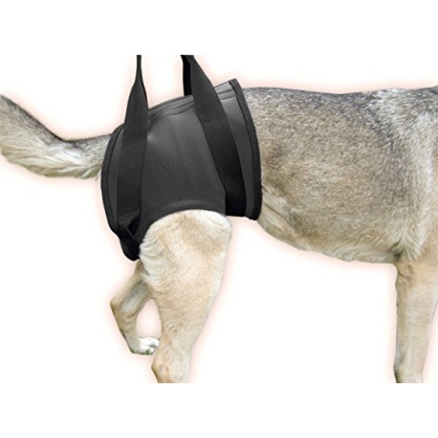 Julius-K9, Neopren Gehhilfe-Geschirr