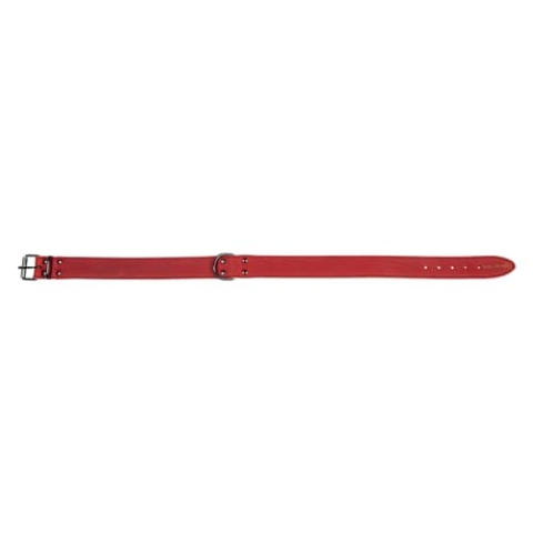 JACK AND VANILLA, Hundehalsband, Black Label-Modell, rote Farbe, Größe 30 mm x 60 cm