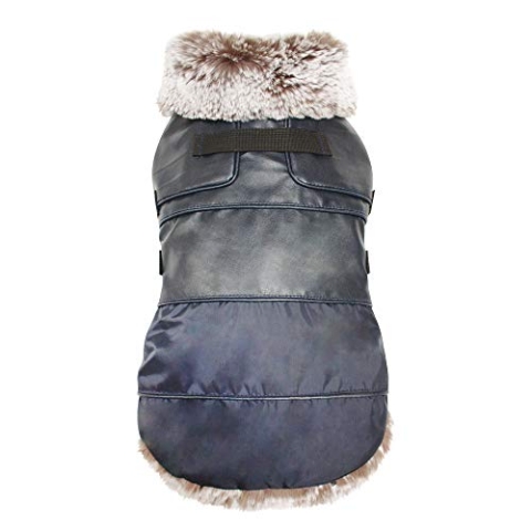 Croci Kreuzweste Rochester gepolstert, 55 cm – 33 g