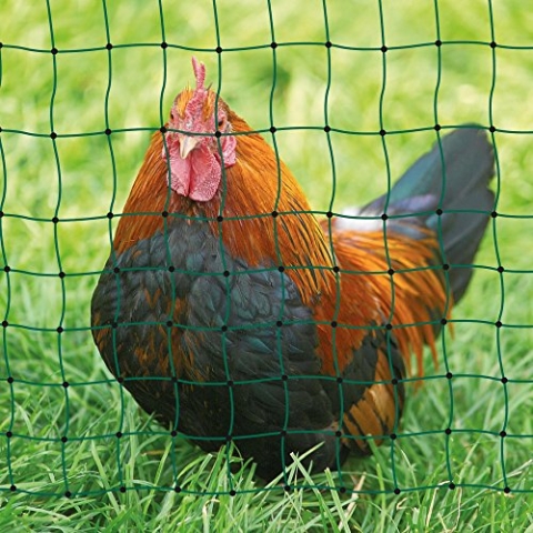 Kerbl 292215 Geflügelnetz, leitend 25 m / 112 cm Einzelspitze, grün