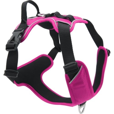 JACK AND VANILLA, bequemes und sicheres Hundegeschirr, individuelle Passform, modernes und attraktives Design, ideal für Spaziergänge im Freien, Größe M, Farbe Fuchsia, Modell Expedition