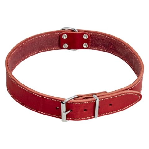 JACK AND VANILLA – Hundehalsband aus Ölleder – Widerstandsfähiges Material, pflegeleicht, weich und angenehm anzufassen – Moderner Look – Rote Farbe, Maße 30 mm x 70 cm