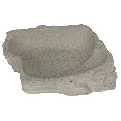 Reptiles-Planet Stein Altersserie Gericht, Klein