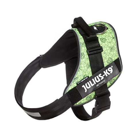 Julius-K9, IDC Powergeschirr, Größe: 3XL / 4, Uralten Symbolen der Hunnen