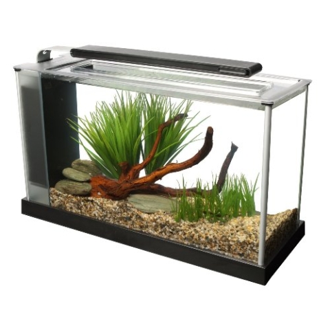Fluval Spec 5 Nano Aquarium, mit 19L Fassungsvermoegen, in schwarz