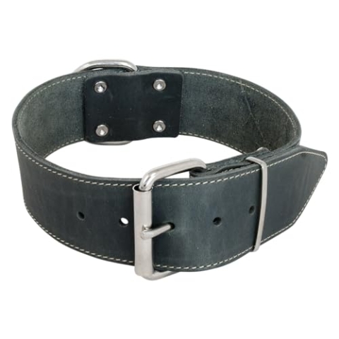 JACK AND VANILLA, großes Halsband für Hunde, Modell für fettige Haut, grau, Größe 50 mm x 75 cm