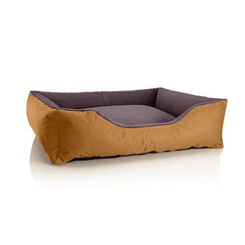 BedDog Hundebett Teddy, Hundesofa aus Cordura und Microfaser-Velours, waschbares Hundebett mit Rand, Hundekissen Vier-eckig, für drinnen, draußen, Größe XL, Gold-braun