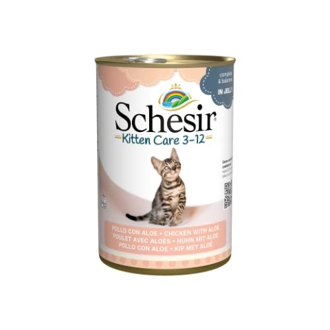 Schesir Cat Jelly Kitten Hühnerfilet mit Aloe Vera, Katzenfutter nass für Kätzchen in Gelee, 24 Dosen x 140 g