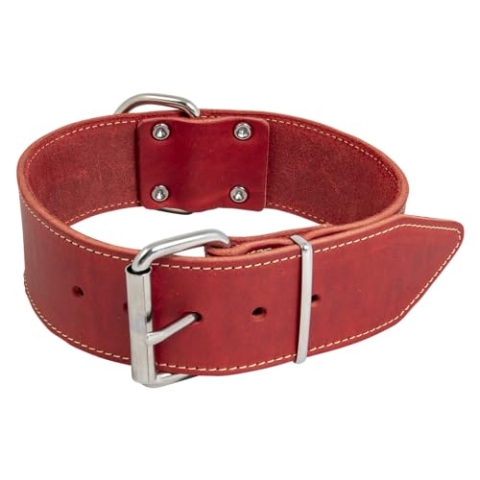 JACK AND VANILLA – Großes Hundehalsband aus Fettleder – für mittelgroße bis große Hunde – solide, langlebig, weich im Griff – moderner Look – rote Farbe, Größe 50 mm x 75 cm