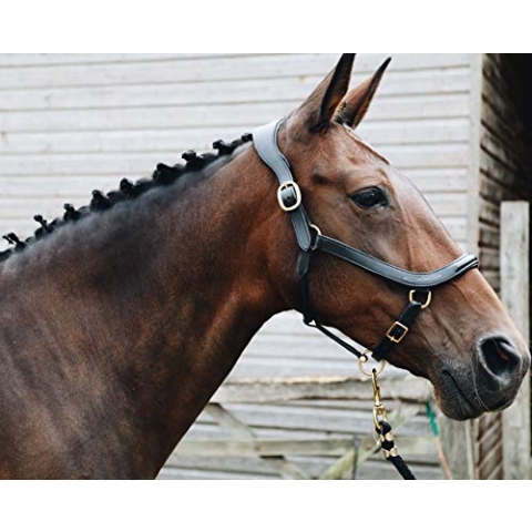 PFIFF 102701 Lederhalfter 'Arco', schwarz Full