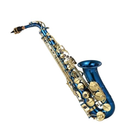 Saxophon-Set Anzug Messing Graviert Eb Altsaxophon Saxophon Knöpfe Blasinstrument Mit Etui Handschuhe