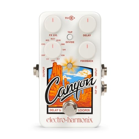 Electro-Harmonix Canyon Delay / Looper