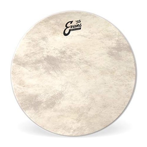 Evans BD24GB4CT Bassdrum Fell