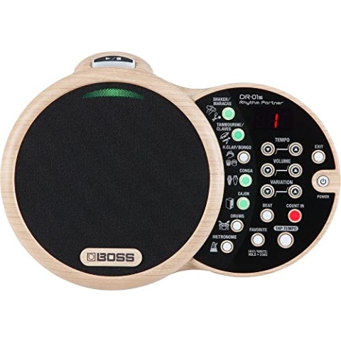 BOSS DR-01S Rhythm Partner für akustische Musiker – Begleiter für akustische Gitarre und Vocals
