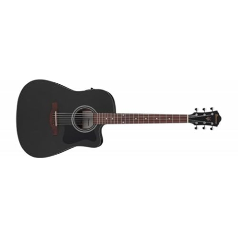 Ibanez Acoustic Guitar / V44CEWK