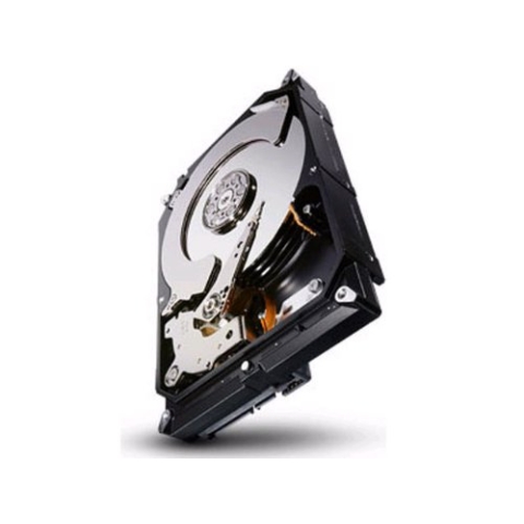 Seagate ST1000NC001 Constellation CS