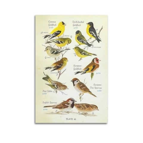 HNPBB Poster mit Vögeln, Tieren, Goldfinken, Auszeichnungen, Poster, dekoratives Gemälde, Leinwand, Wandposter und Kunstdruck, moderne Familienschlafzimmer-Dekoration, Poster, 30 x 45 cm