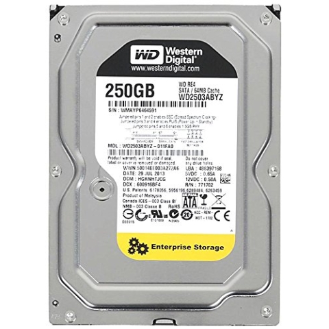 Western Digital RE 250 GB 3.5 "SATA III-Festplatte (Serial ATA III, 250 GB, 8,89 cm (3.5), 6,4 W, 6,5 W, 4,4 W)