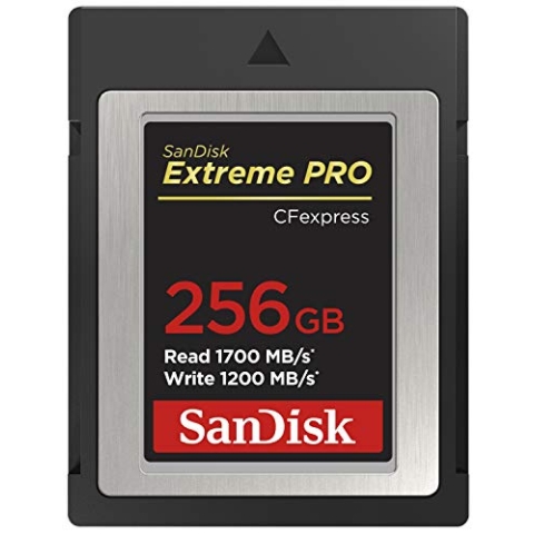 SanDisk Extreme PRO CFexpress Speicherkarte Typ B 256 GB (Lesegeschwindigkeiten bis 1700 MB/s, für RAW 4K-Video, XQD-Kompatibilität, RescuePro Deluxe Wiederherstellung Software)