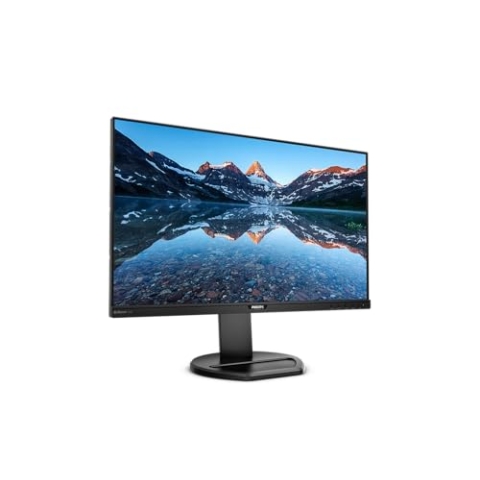 Philips 252B9 - 25 Zoll WUXGA Monitor, höhenverstellbar (1900x1200, 60 Hz, VGA, DVI, HDMI, DisplayPort, USB Hub) schwarz
