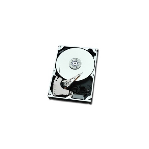 HD SAS 6G 450GB INT