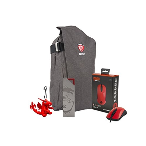 MSI 957-1XXXXE-030 MSI GS Series Gaming Notebook Weihnachtsbündel mit Rucksack, Maus, Data Secuirty I-Key und Dragon Schlüsselanhänger