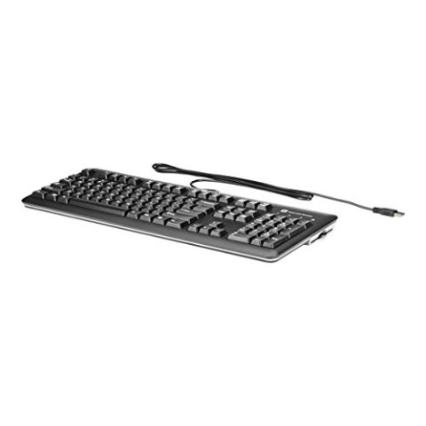 HP CCID Smartcard Keyboard schwarz/Silber