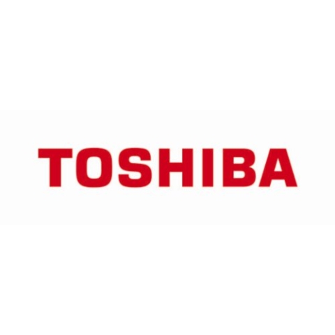 Toshiba MBF230LRC 2,5 Zoll 300 GB Serial_scsi, SCSI 10000 U/min