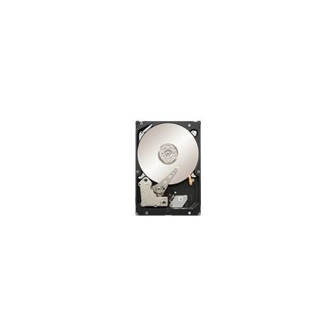 Seagate Constellation ES ST32000644NS Interne Festplatte 2TB (8,9 cm (3,5 Zoll), 7200 rpm, 8,5 ms Zugriffszeit, 64MB Cache)