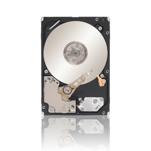Seagate Savvio ST9300605SS Interne Festplatte (300 GB, 6 Gbit/s, 10.000 U/min, 6,5 Zoll / 6,3 cm)