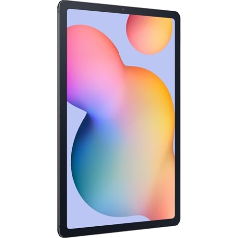 Samsung Galaxy Tab S6 Lite (2024) LTE 4G LTE-TDD & LTE-FDD 64 Go 26,4 cm (10.4") 4 Go Wi-Fi 5 (802.11ac) Gris