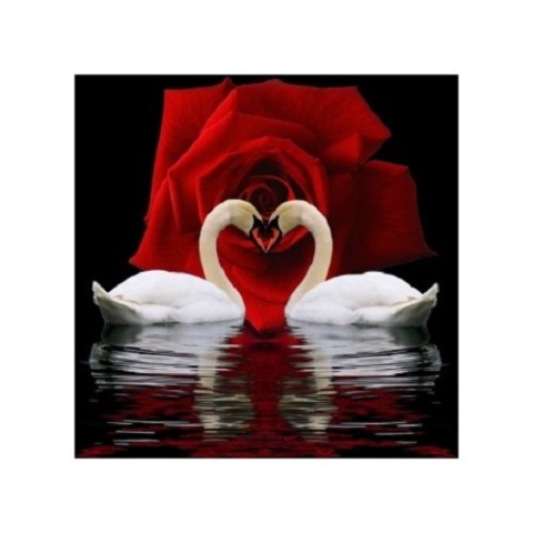 Diamond Painting Kit Swan Devotion AZ-421