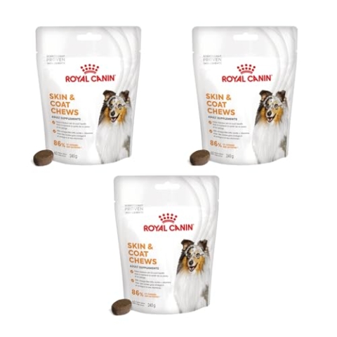 Royal Canin Skin Coat Chews | 3er Pack | 3 x 240 g | Snacks für Erwachsene Hunde Aller Größen & Rassen | Im wiederverschließbaren Beutel | Mit Tierärzten entwickeln | Mit Geflügelprotein
