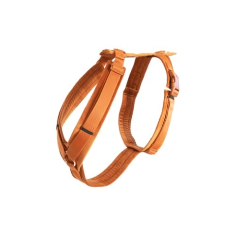 Kentucky - Hundegeschirr aktiv velvet orange S 26-40cm