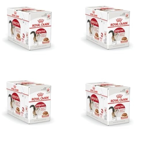 Royal Canin Instinctive Jelly | 48er Pack | 48 x 85 g | Nassfutter in Gelee für ausgewachsene Katzen | Zur Unterstützung der Harnwege und des Gewichts | Ausgewogene Rezeptur