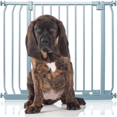 Bettacare Elite Hundegitter, 80cm - 89cm, Matt Grau, Druckbefestigung Hundegitter für Hunde und Welpen,Barrière Einfache Installation