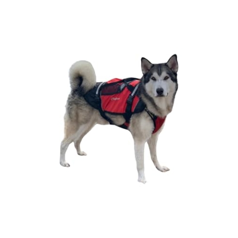 Crewsaver Unisex Erwachsene Outdoor Sportanzug Schwarz/Rot XL