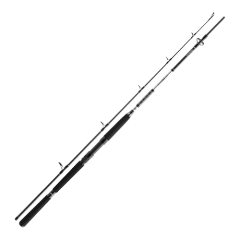 Daiwa Steckrute BG Deep Sea XH Länge 2,20m Wurfgewicht 150-300g