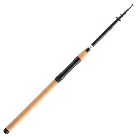 Daiwa Allroundrute - Ninja X Tele 2,70m 15-45g