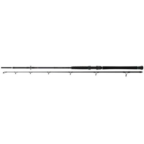 Daiwa Powermesh Catfish - Bootsrute - 2.75m - 100-400g