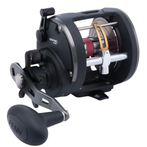 Penn Warfare Level Wind Reel 30 - Rechtshand Multirolle zum Hochseeangeln, Dorschrolle, Multi Angelrolle, Meeresrolle