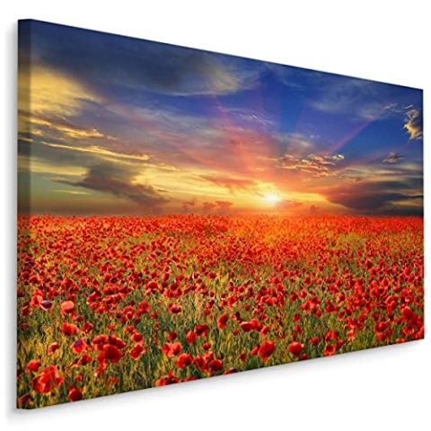 Muralo Leinwandbilder 100x70 Natur Pflanzen Blumen Mohnblumen Feld Wiese Canvas Wandbild Kunstdruck Schlafzimmer Wohnzimmer Wanddekoration Design XXL Br. 100 cm x Hö. 70 cm Br. 100 cm x Hö. 70 cm