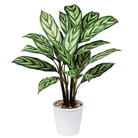 Briful 63CM Künstliche Calathea Majestica Exotica Kunstpflanze Groß Dekopflanze Dekorative Zimmerpflanze im Topf Deko Wohnzimmer Büro Hotel