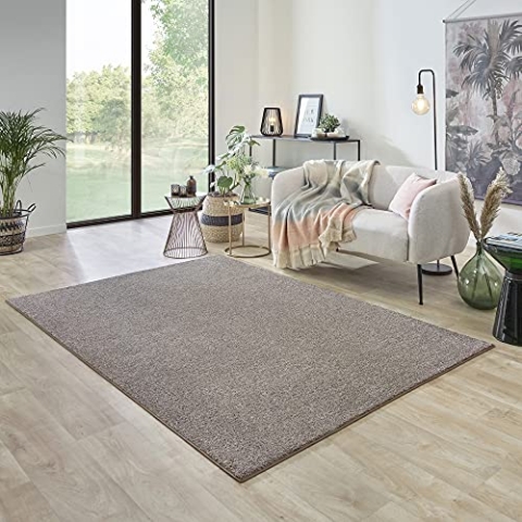Carpet Studio Ohio Teppich Wohnzimmer 160x230cm, Weicher Kurzflor Teppich, Wohnzimmer, Esszimmer & Schlaffzimmer, Pflegeleicht, Geruchsneutral - Beige
