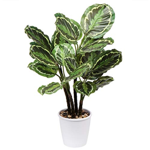 Briful 63CM Künstliche Calathea Medaillon Kunstpflanze Dekopflanze Tropische Zimmerpflanzen im Topf für Home Garden Office Dekoration